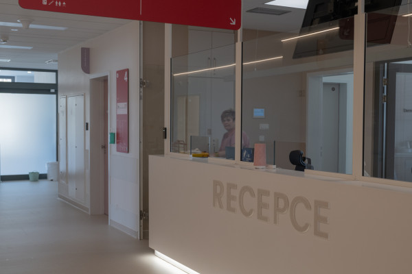 Recepce